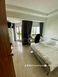 The Regalia (D9), Apartment #477827921